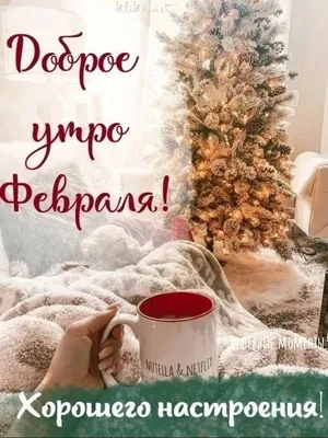 Доброе предновогоднее утро картинки фотографии