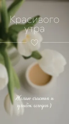 Бесплатные шаблоны сторис Instagram | Обложки, фоны для сторис | Canva