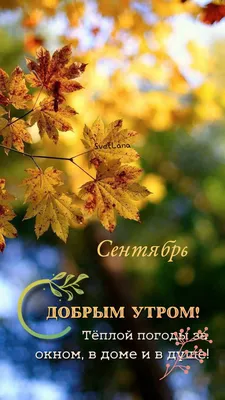 Картинки доброе сентябрьское утро (103 шт.)