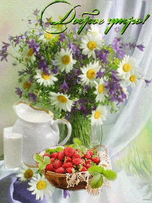 Картинки с пожеланием доброго утра | Маргаритка, Красивые цветы, Цветочные  композиции