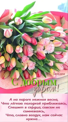 Лавка Цветов - Доброе цветочное утро! . Все самые красивые... | فيسبوك