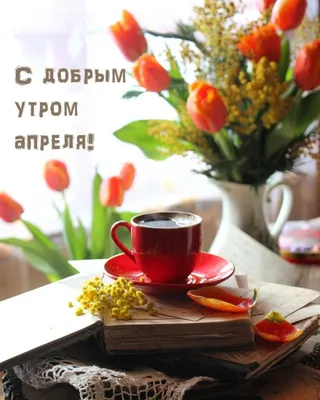 Ответы Mail.ru: Доброе утро! Как думаете, допустим ли черный юмор 1 апреля?+