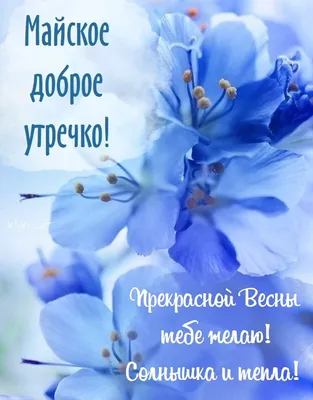 ➡️ Доброе утро 🌷❤️ | Информационный Центр Перевальск-Алчевск|ЛНР|LPR| |  ВКонтакте