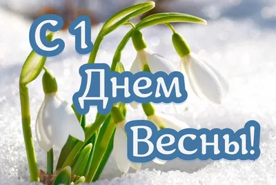 Блокнот Воронеж - Доброе утро! Погода на 1 марта утро – Дождь со снегом +1°...+2°С  ветер СВ 3м/с день – Пасмурно +1°...+2°С ветер СВ 4м/с вечер – Пасмурно +1°С  ветер СВ 3м/с