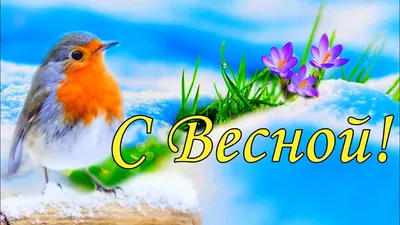 Блокнот Воронеж - Доброе утро! Погода на 7 марта ⠀ утро... | Facebook