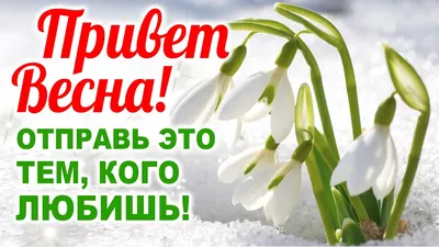 Блокнот Воронеж - Доброе утро! Погода на 1 марта ⠀ утро –... | Facebook