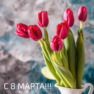 Открытка с именем Доброе утро Коллеги С 8 марта с тюльпанами 2. Открытки на  каждый день с именами и пожеланиями.
