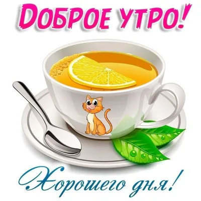 ДОБРОЕ УТРО. | Facebook