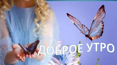 С добрым осенним утром! - Доброе утро - Повседневная анимация - Анимация -  SuperGif