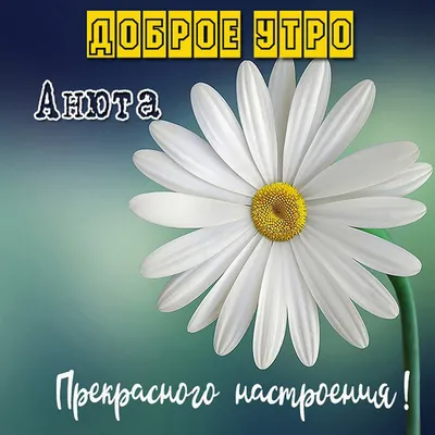 Доброе утро. Сегодня в Херсоне облаков наблюдаться не будет, небо все время  будет ясным. Без осадков. Температура от +18 ночью до +32 днём - Лента  новостей Херсона