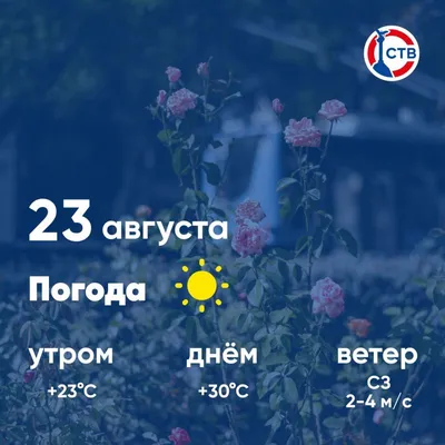 Блокнот Воронеж - Доброе утро! Погода на 31 августа Утро – Ясно + 17°...+  22°С ветер З 3м/с День – Малооблачно + 22°...+ 28° ветер З 4м/с Вечер –  Малооблачно + 24°...+