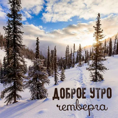 Доброе зимнее утро четверга - самые новые открытки (42 ФОТО)