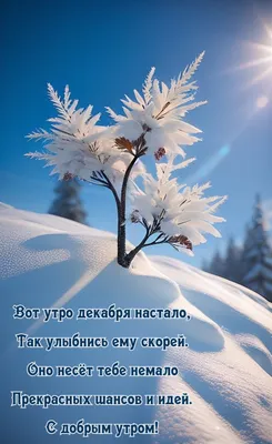 Доброе утро декабря картинки фотографии