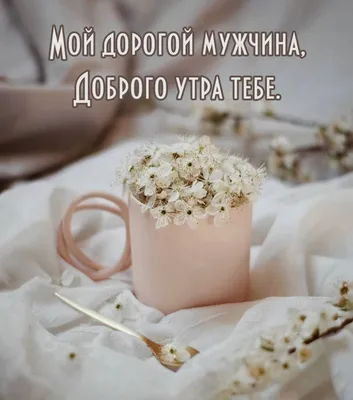 Alex Sysoev on Instagram: \"Доброе Утро мой Дорогой Друг! Приятных Событий,  Ирина💕\"