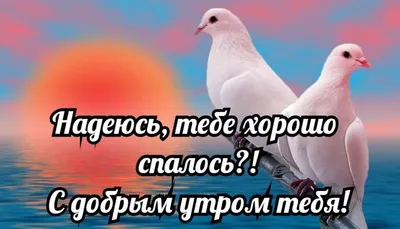 Пожелания хорошего дня в картинках, своими словами, в стихах, в смс и  христианские пожелания доброго дня — Украина