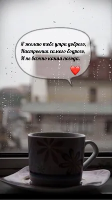 Доброе утро , друзья!!!💕За окном дождь, а в наших салонах теплая дружеская  атмосфера!!! Сегодня и завтра мы дарим каждому.. | ВКонтакте
