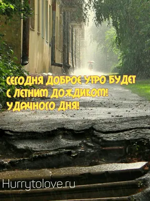 Доброе утро, Луганск!. На протяжении всего дня небо в Луганске и Луганской  Народной Республике будет покрыто облаками. На протяжении всего дня  ожидается дождь, который после обеда может усилиться - Лента новостей  Луганска