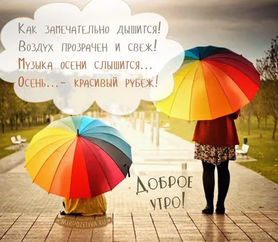 Доброе утро) Дождь умыл все за... - GX - Новини Харкова | Facebook