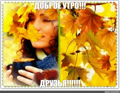 🍂🍁 ДОБРОЕ УТРО, ДРУЗЬЯ! ОТЛИЧНОГО ДНЯ! 🍁🍂 Пускай рассвет улыбкой озарит  начало дня, И пусть подарит.. | ВКонтакте