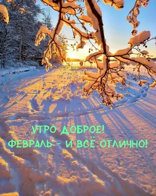 4 #февраль #суббота #утро #длявас #доброеутро #пожелания #длятебя #хо... |  TikTok