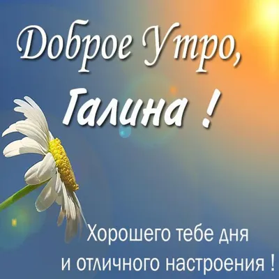 Идеи на тему «Доброе утро!» (240) | доброе утро, открытки, счастливые  картинки