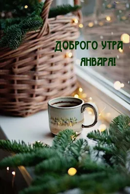 Доброго Утречка! 21 декабря. #сдобрымутром #доброгоутра #доброеутро #у... |  TikTok