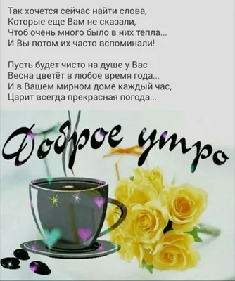 Доброе утро.