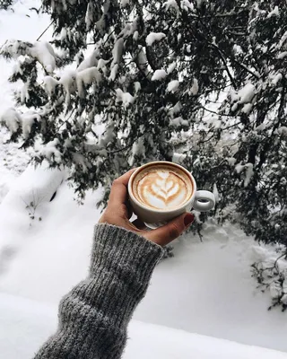 Доброе утро в Карпатах😍 Вкусного кофе☕️ Снег,как по заказу…ведь когда мы  приехали,не было ни снежинки❄️❄️,а на следующее утро нас… | Instagram
