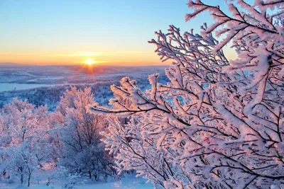 Зимняя сказка на горе Pfänder (Австрия)