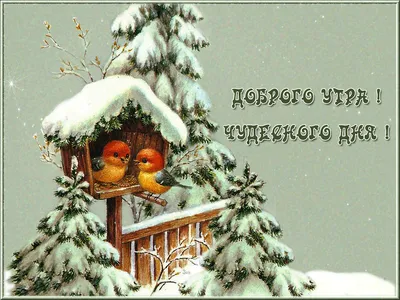 Москва меняется - ЗИМНИЙ ПАРК Невероятная зимняя сказка в парке Царицыно. Доброе  утро, любимая Москва😍👇🏼 📸 instagram.com/pochekh #москваменяется #фото |  Facebook