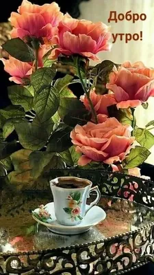 Доброе утро ☀ 🌝⏰ чай, кофе цветы, …» — создано в Шедевруме