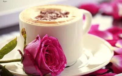 Доброе утро красивые картинки мотивация кофе море и цветы | Доброе утро,  Открытки, Картинки
