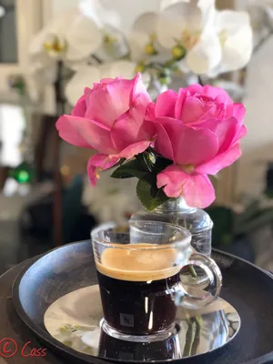 Куча кофе Утро белый кофе с приветственным текстом - Доброе утро,  воскресенье, и желтые маленькие цветы Стоковое Изображение - изображение  насчитывающей утро, напитка: 162036565