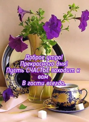 Необычные картинки С добрым утром 💌✨☕ (253 шт.)