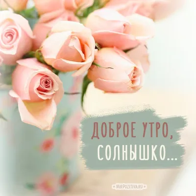 Цветы для ВАС. - Доброе светлое утро дорогие мои друзья!!! | Facebook