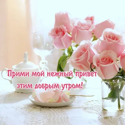 гифки с добрым утром цветы: 2 тыс изображений найдено в Яндекс Картинках