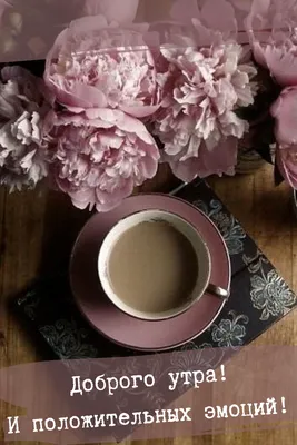 Доброе утро красивые картинки мотивация кофе море и цветы | Доброе утро,  Открытки, Картинки