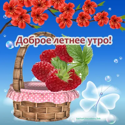Летние цветы в корзине к лучах утреннего солнца — Скачайте на Davno.ru