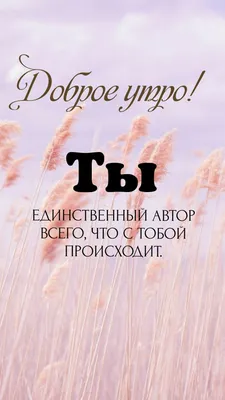 Идеи на тему «Мотивация утро» (65) | мотивация, утренние цитаты,  вдохновляющие фразы