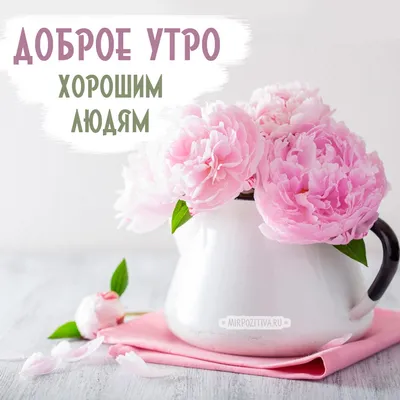 Доброе утро, прекрасные💖 Замечательного вам дня🤗 #доброеутро  #доброеутродолгопрудный #мотивация #цитатадня #салонкрасотыдолгопрудный… |  Instagram