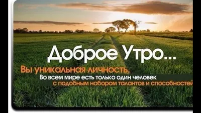 Доброе утро | Доброе утро, Цитаты для поднятия настроения, Утренние цитаты