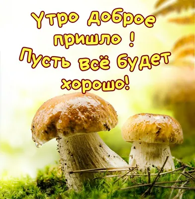 Pin by Ольга on Доброе утро | Birthday greeting message, Instagram posts,  Good morning