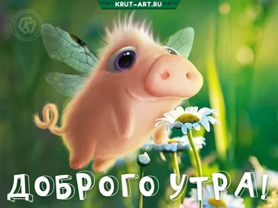 Зимние картинки Доброе утро (70 штук)