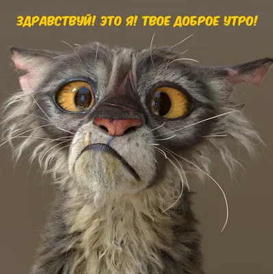 Доброго утра и прекрасного настроения!) #открытка #доброеутро #пожелан... |  TikTok