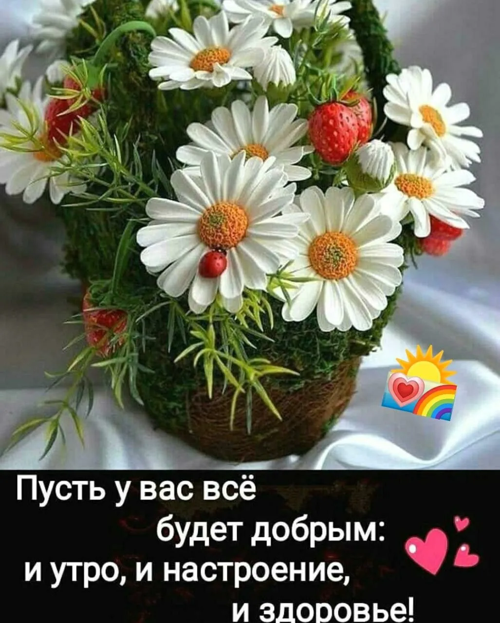 Доброе утро цветок