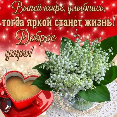 Доброе утро! 💝 | Весна, Красивые цветы, Цветы