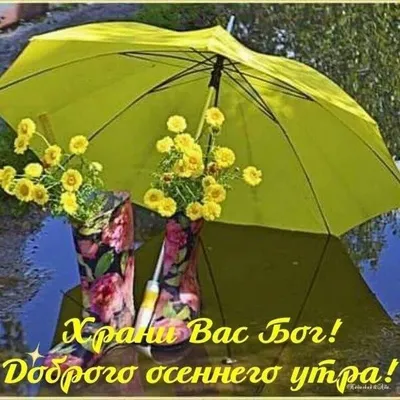 Дождливое утро — самый подходящий вариант для начала долгого продуктивного  дня. Одевайтесь потеплее и не забудьте зонтик!.. | ВКонтакте