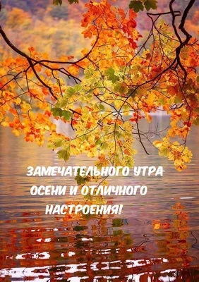 Владимир Вовчик - С добрым утром всех, счастья и добра 🤗... | Facebook