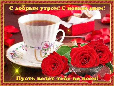 ДОБРОЕ УТРО! 🌞 ПОЗИТИВА 🍊🍎🍋 и главное ЗДОРОВЬЯ ! ❤😉💐😋❤ Улыбнись, и  весь мир улыбнется тебе в ответ! | Кофейные карточки, Доброе утро, Смешные  открытки