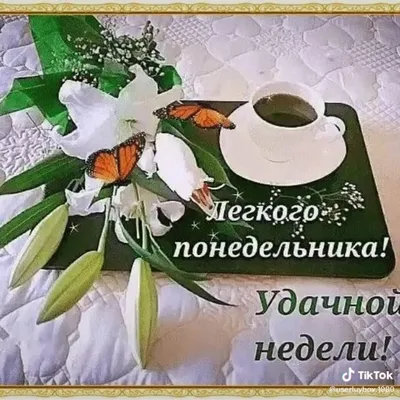 ➡️ Доброе утро 🌞 всем хорошей недели ❤️ | Информационный Центр  Перевальск-Алчевск|ЛНР|LPR| | ВКонтакте